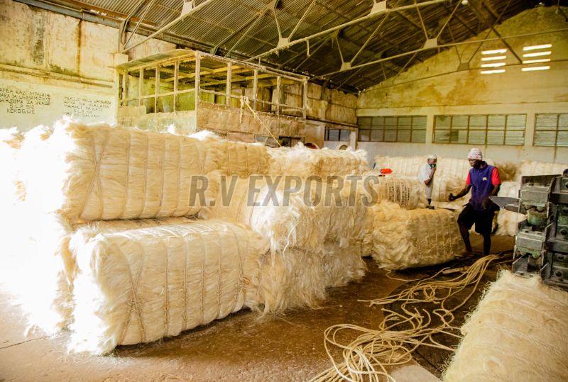 3L Grade Sisal Fiber