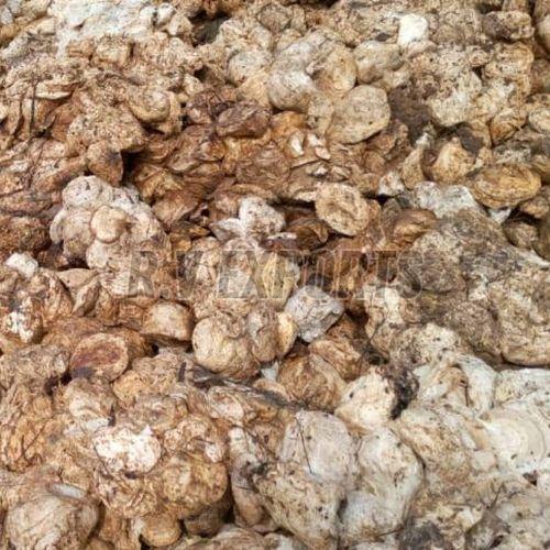 Natural Rubber