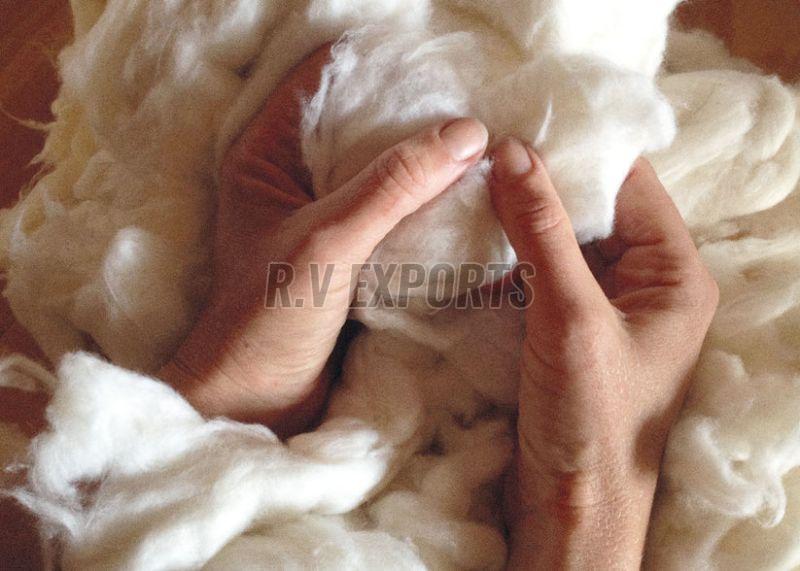 Natural Raw Cotton
