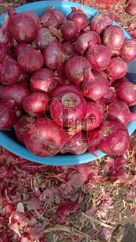 Fresh Red Onion