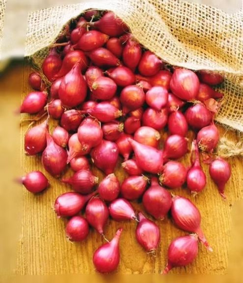 Fresh Sambar Onion