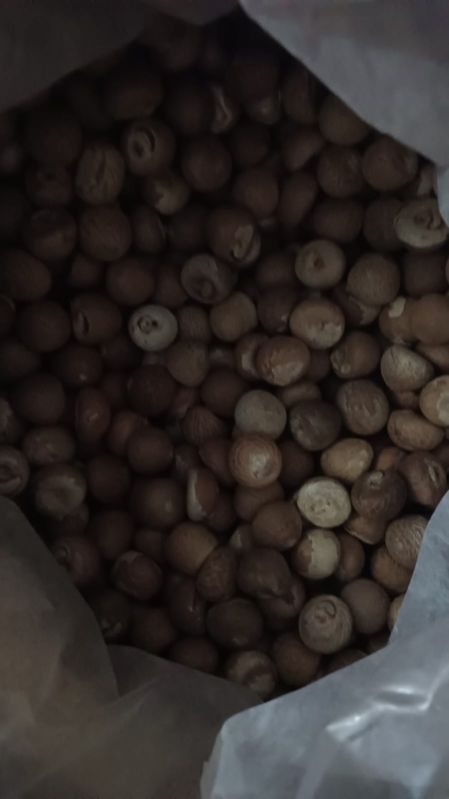 Gota Areca Nut