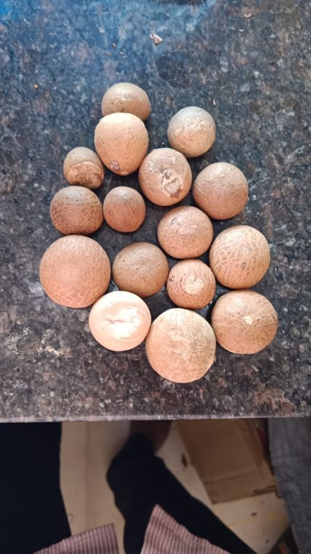 Fatod Areca Nut