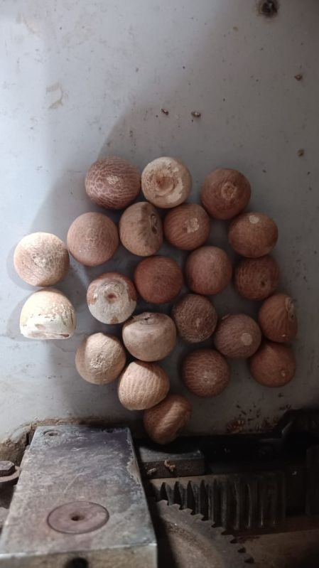 Vachraj Areca Nuts