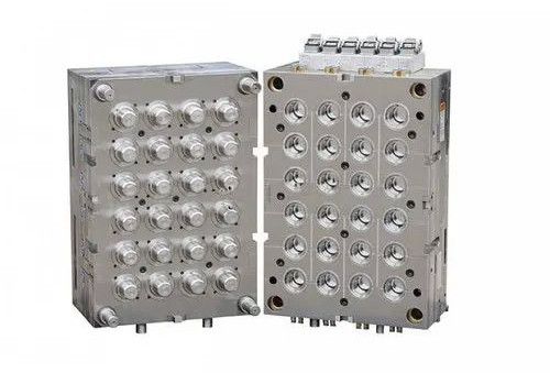 Hot Runner Multicavity Mould