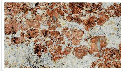 Indian Bhama Ivory Granite Slabs