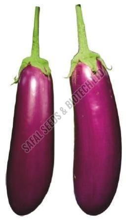 F1-Billu Brinjal Seeds
