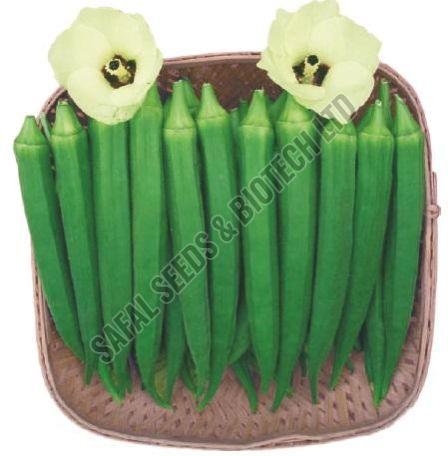F1- Deepika lady finger seeds