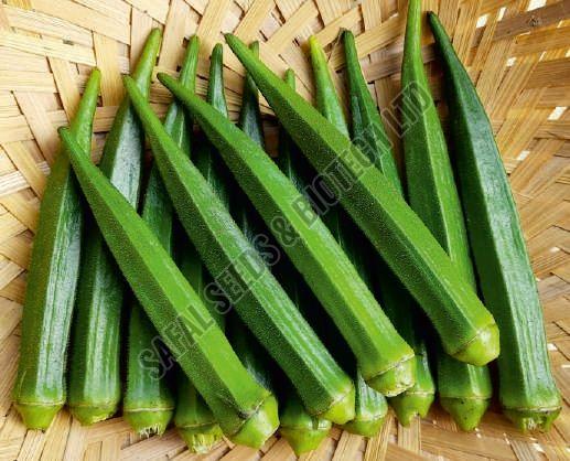 Lady Finger Seeds