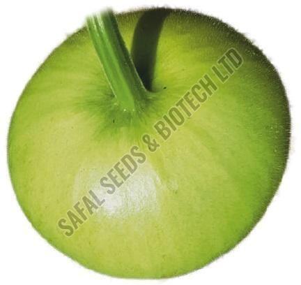 F1-SSB 125 Bottle Gourd Seeds