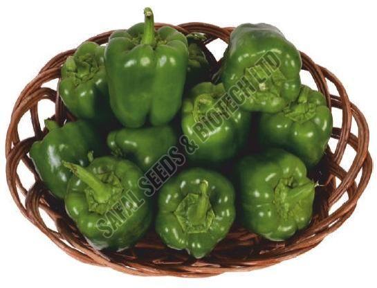 F1-SSB 241 Capsicum Seeds