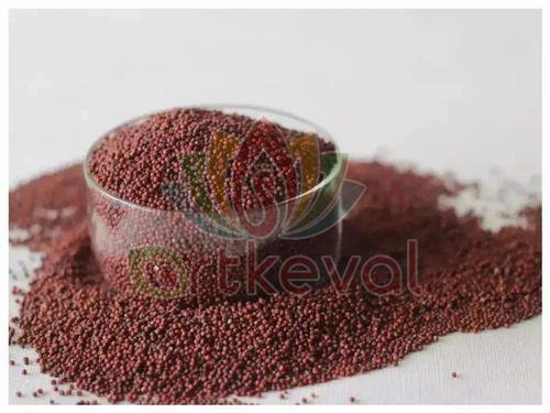 Finger Millet Seeds