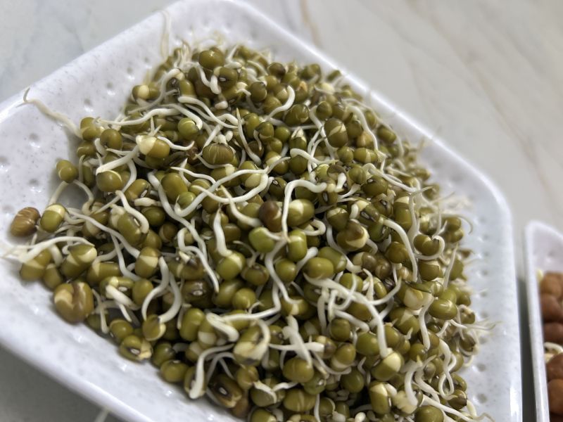 Green Moong Sprouts