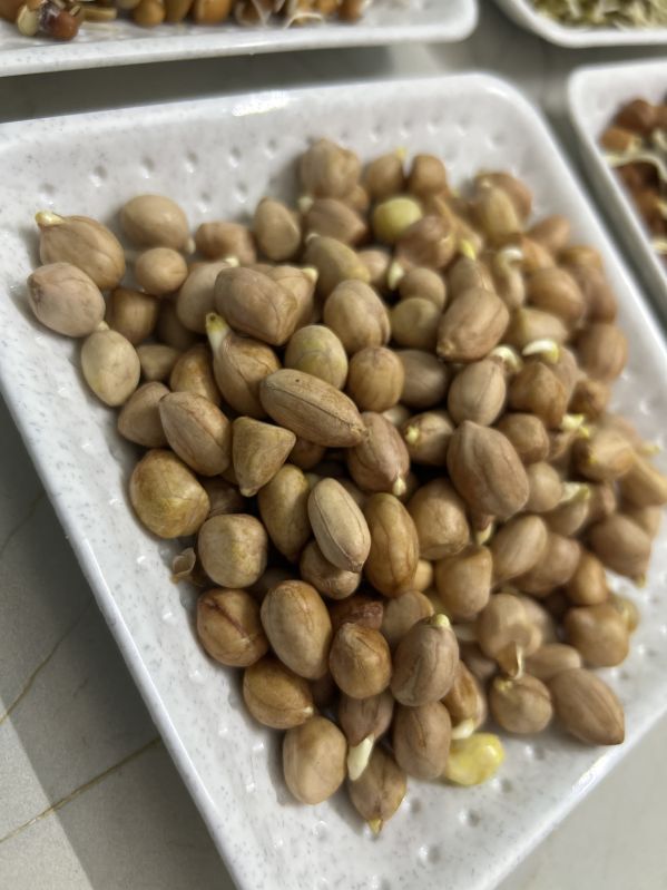 Peanut Sprouts