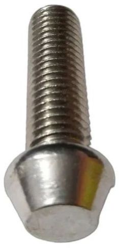 Stainless Steel Anti Theft Bolt