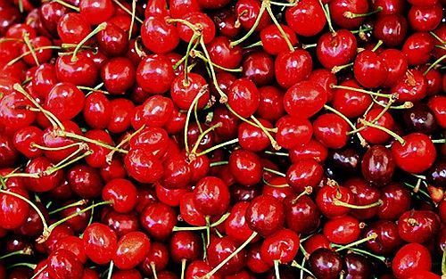 Fresh Red Cherry