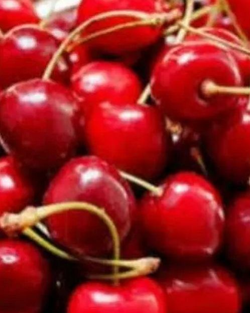 Fresh Red Italian Cherry