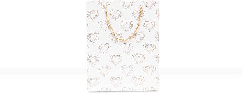 Designer Paper Gift Bag