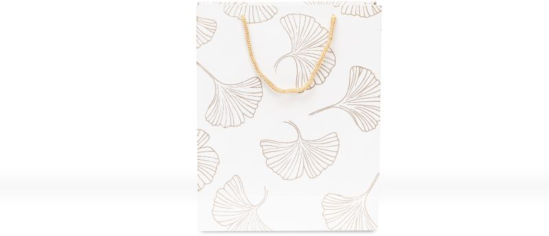Gift Carry Paper Bag