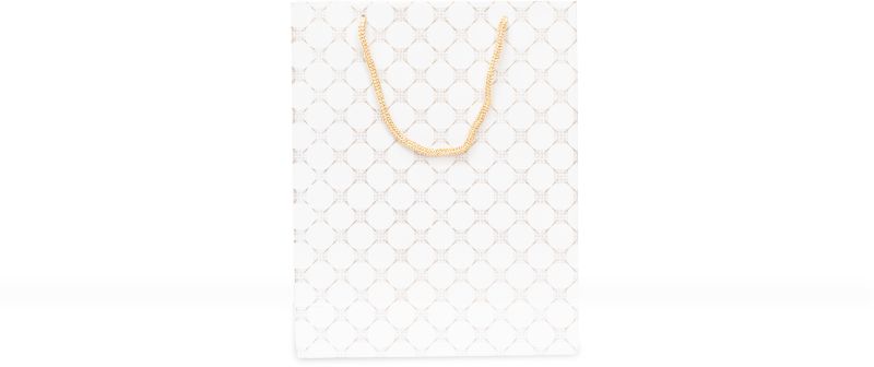 White Paper Gift Bag