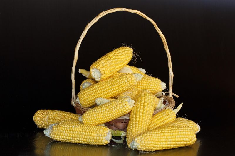 Makai Bhutta
