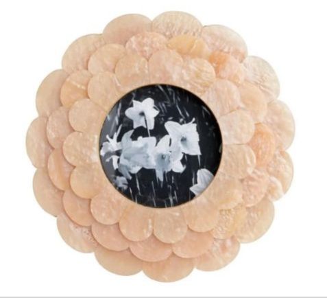 Resin Floral Frame