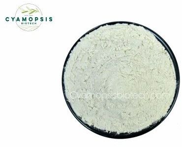 Pharmaceutical Guar Gum Powder