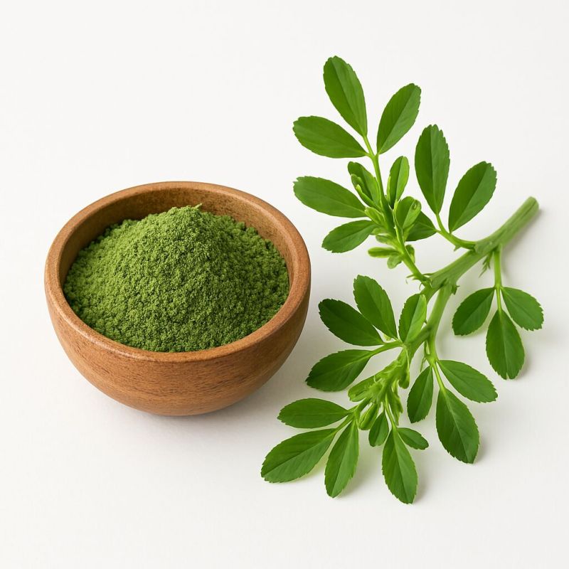 Alfalfa Powder
