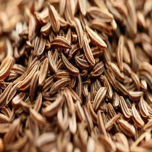 Cumin Seeds