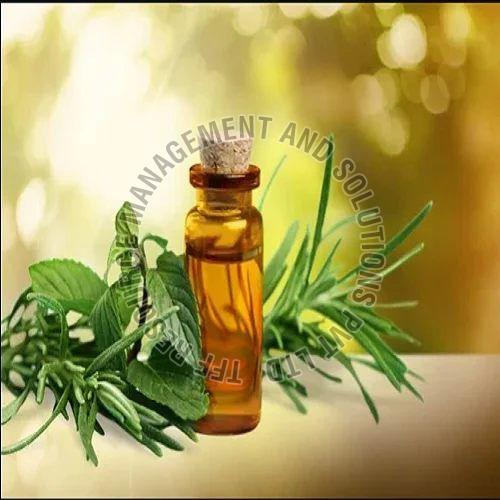 Tea Tree Oil