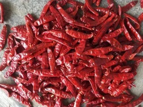 Dried Kashmiri Red Chilli