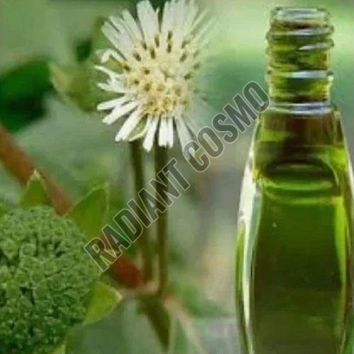 Bhringraj Oil