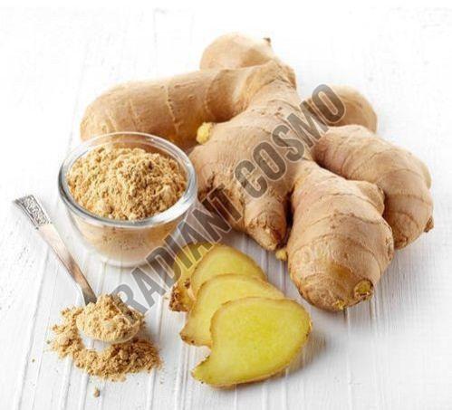 Ginger Extract