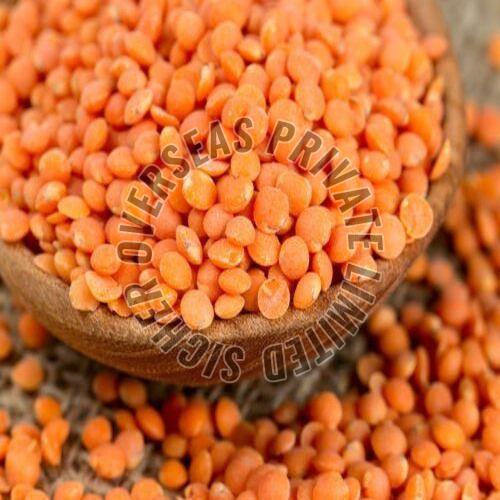 Red Lentils