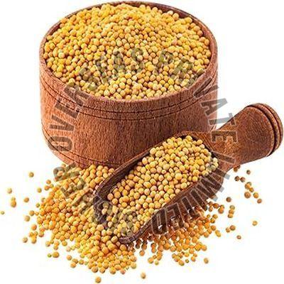 Yellow Mustard Seeds