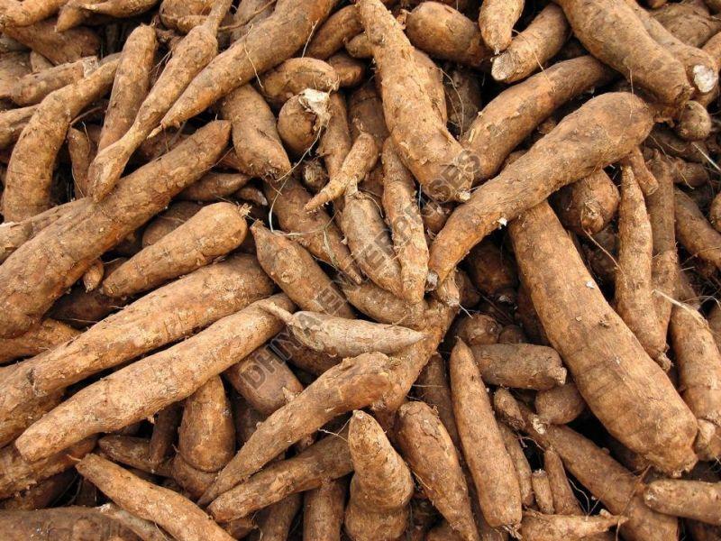 Fresh Cassava