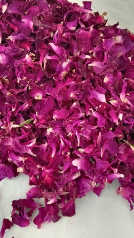 Dried Red Rose Petals