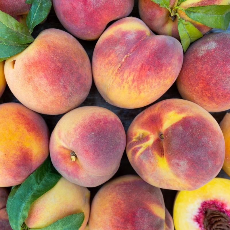 Fresh Peach
