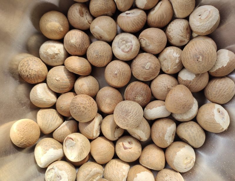 A Grade Areca Nut