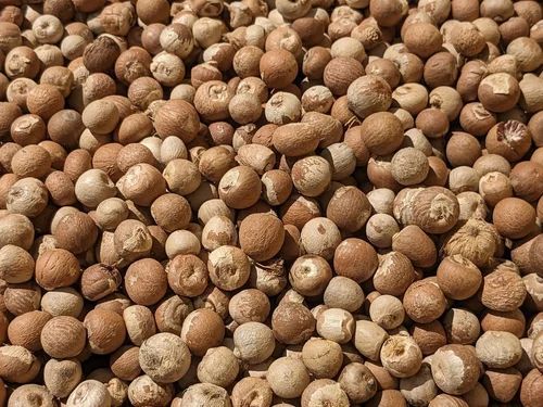 Raw Areca Nuts