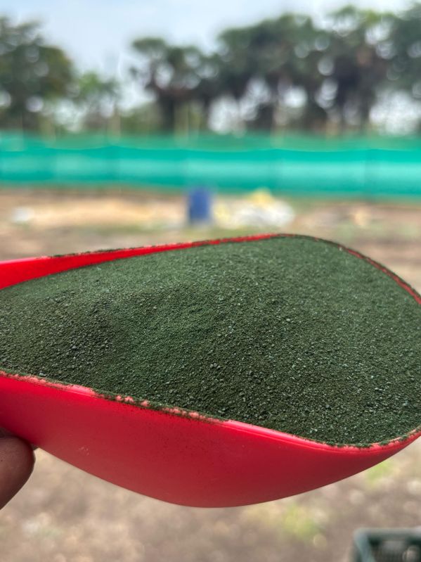 Pure Spirulina Powder
