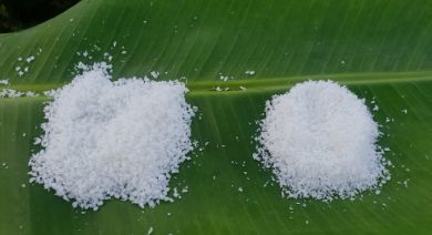 A Grade Desiccated Coconut Powder