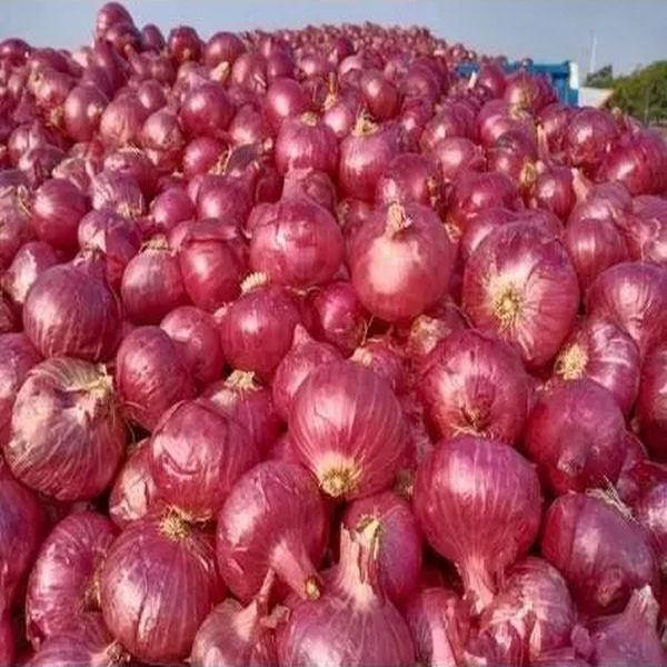 Red Onion