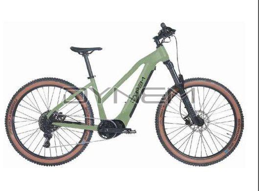 C071 Dynem Neostar Electric Bicycle