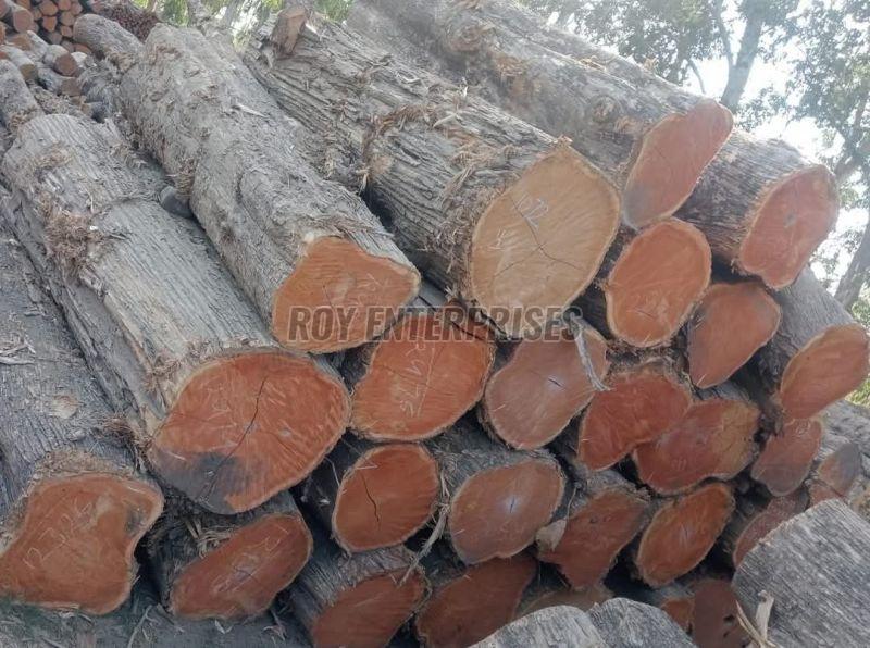 Segun Wood Logs