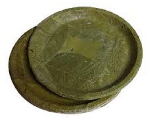 Sal Leaf Plate