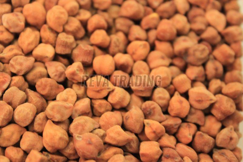 Bengal Gram