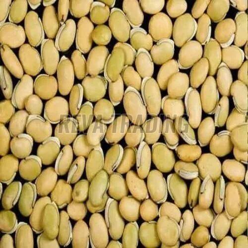 Field Beans
