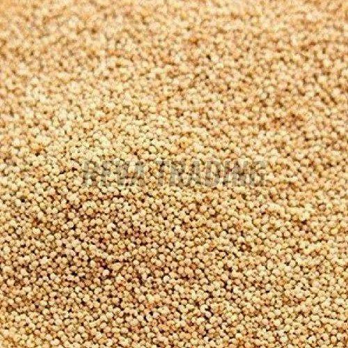 Poppy Seeds