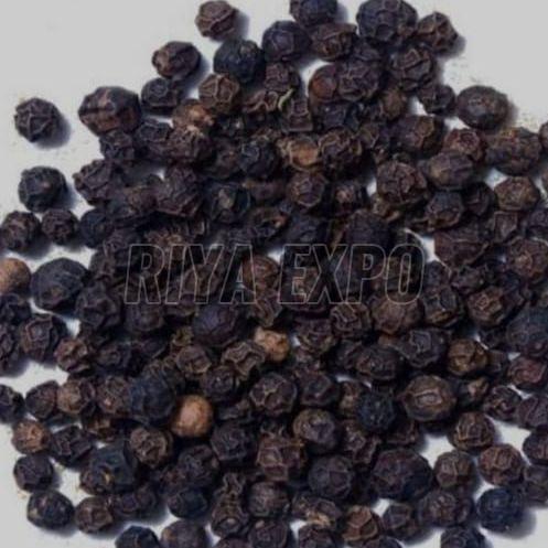 Black Pepper Seeds